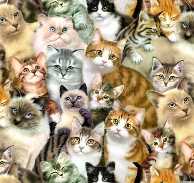 100000000котят и больше котят много…» — создано в Шедевруме