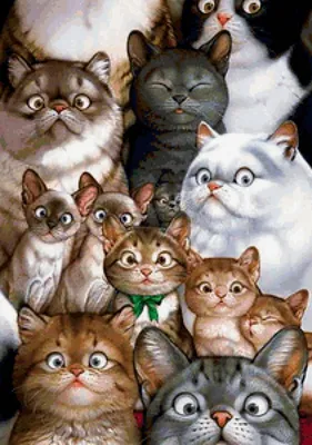 много кошек стоят на сером фоне, фото всех пород кошек, кошка, домашний  питомец фон картинки и Фото для бесплатной загрузки