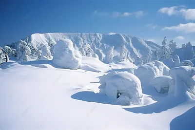 Уже хочу зиму! И много-много снега! | Winter scenes, Winter magic, Winter  scenery