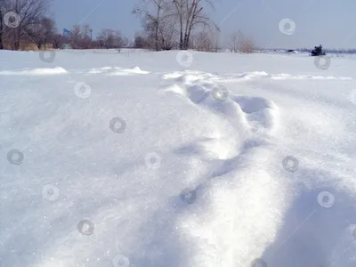 Много снега во дворе в январе. Новости Магнитогорск. г