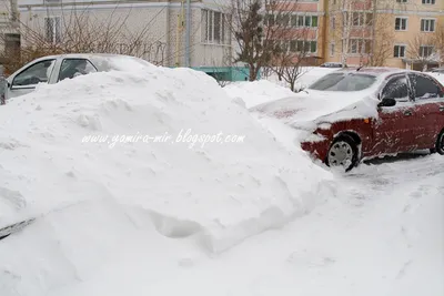 Как много снега.