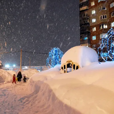 Много снега (58 фото) - 58 фото