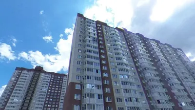 Объявление в подъезде московской многоэтажки рассмешило пользователей сети  - Мослента