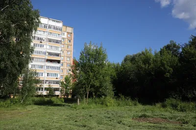 В Ярославле на Пятерке рядом с легкоатлетическим манежем могут построить  многоэтажки - 