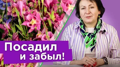 Тюльпан, луковицы для посадки, многолетние цветы для сада Радуга цветов  172488311 купить за 80 700 сум в интернет-магазине Wildberries