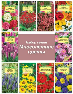 Удобрение для питания многолетних цветов Гуми-оми многолетние цветы, 50 г -  купить в Москве, цены на Мегамаркет