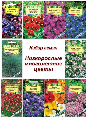 Гелиопсис, Вероника Гавриш Многолетние цветы - купить по выгодным ценам в  интернет-магазине OZON (810273014)