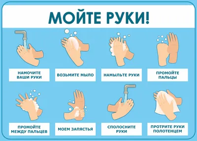 Плакат: Руки мой перед едой - Интернет-магазин СТ-Диалог