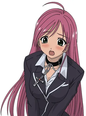 изготовленный на заказ Rosario Vampire Мока Акасия Костюм (Юбка) -  