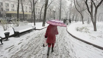 Мокрый снег с дождем ожидается в Москве