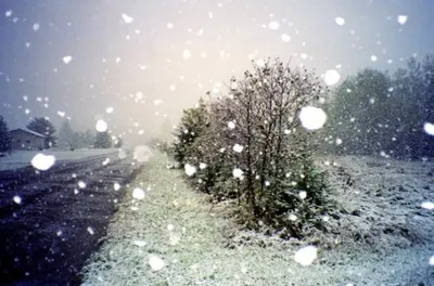 Первый мокрый снег возможен в Беларуси уже в конце этой недели