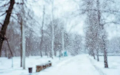 Мокрый снег и гололед: в Тульской области ухудшится погода - Новости Тулы и  области - 
