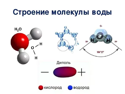 Почему вода жидкая, а лёд твёрдый? | Квантовая теория эволюции | Дзен