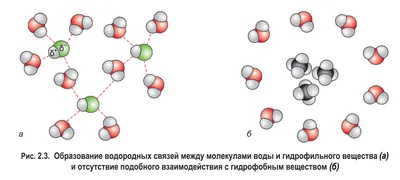 File:Water molecule  - Wikipedia