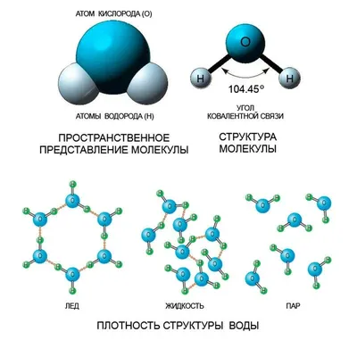 Что находится между молекулами воды? | Вокруг Света