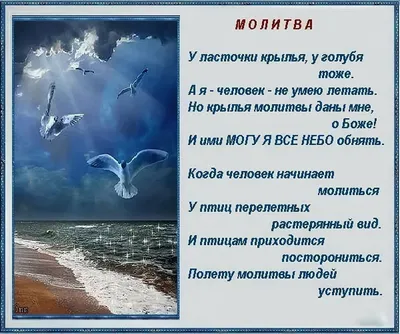 Молитва – великий дар Творца Человеку | ღ︎Мудрые Мысли за чашкой кофеღ︎ |  Дзен