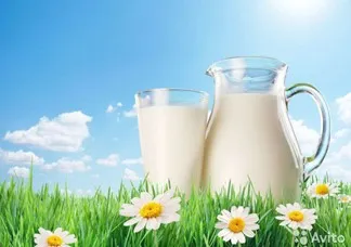Виды молочных продуктов | «Кремлевский выбор»