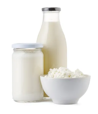 Технология производства молока и молочной продукции. Виды пищевых добавок.  | 