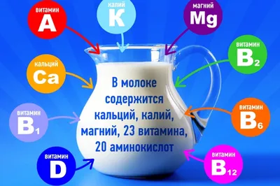 Почему молочные продукты стоит есть чаще? | ВОПРОС-ОТВЕТ | АиФ Омск