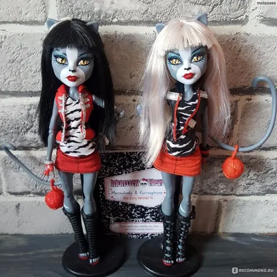 MONSTER HIGH Куклы Пурсефона и Мяулодия Базовые Школа Монстров Монстер Хай  / Purrsephone and Meowlody - «Веркошки. 8 тыс - за что? Мои эксперименты -  Мяулодия со стертой мордочкой и стриженой челкой.