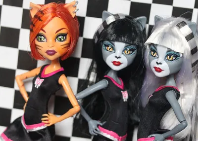 Игровая кукла - Пурсефона и Мяулодия Группа поддержки куклы Monster High  Монстер Хай купить в Шопике | Самара - 362874