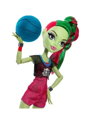 Кукла Монстер Хай Венера МакФлайтрап базовая с питомцем Monster High Venus  McFlytrap Вasic – фото, отзывы, характеристики в интернет-магазине ROZETKA  от продавца: Eraopt | Купить в Украине: Киеве, Харькове, Днепре, Одессе,  Запорожье,