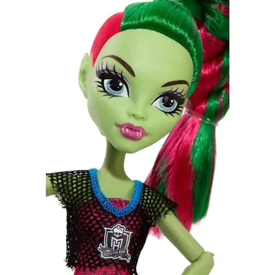 Купить куклу Венера МакФлайтрап Venus McFlytrap Мрак и Цветение Monster  High Монстер Хай недорого в интернет-магазине