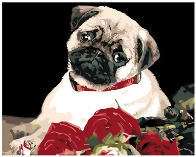 Портрет животного. Портрет собаки.Портрет по фото. Мопс картина – заказать  на Ярмарке Мастеров – QZ43QRU | Картины, Геленджик