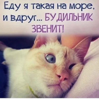 ВСЕ ВИДЫ УСЛУГ В г. Якутске - 😂 #немногоюмора #шутка #прикол #юмор  #позитив #улыбнись #смех #будьнапозитиве #море | Facebook