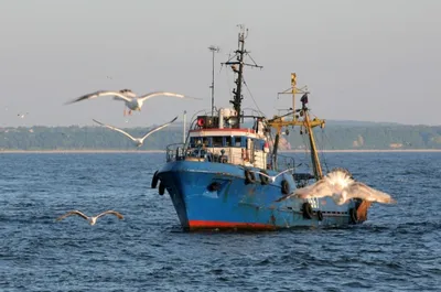 Необычные приметы моряков на борту судна