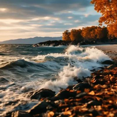 Море осенью - 71 фото