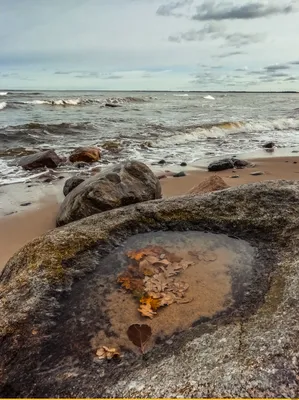 Белое море осенью, Заяцкий остров…» — создано в Шедевруме