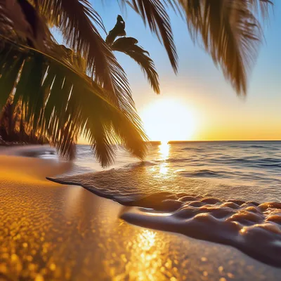 Фото Моря пальмы песок: красивые обои на ваш рабочий стол (бесплатно, HD) | Море  пальмы песок Фото №1271471 скачать