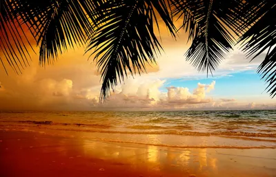Вид на удивительный закат на пляже | Бесплатно Фото