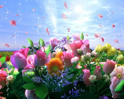 морецветов #цветы #цветыдлятебя #цветыполевые #цветыкрасота #релаксви... |  TikTok