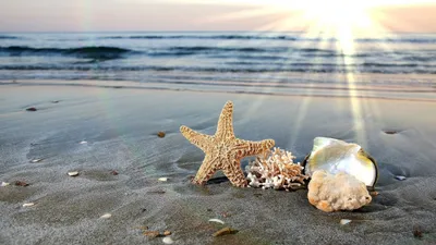 Одно из чудес света. Восход солнца на море. | Мой Личный дневник. | Дзен