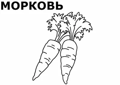 Бесплатные раскраски Морковь для детей | GBcoloring