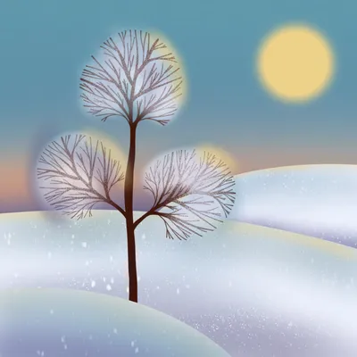 Мороз и солнце #деревья #зима #снег | Зимние сцены, Зимние картинки, Пейзажи