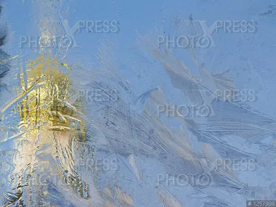 Уральский фотограф снял морозные узоры на стекле — Городские вести