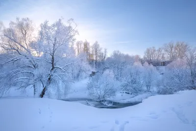 морозный день. Photographer Vitaliy Poluektov