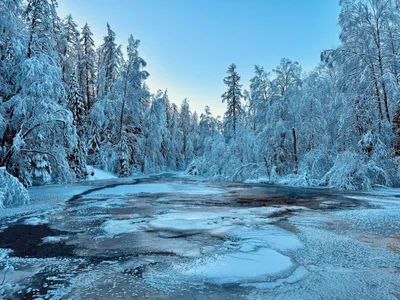 Москву в пятницу ожидает самый морозный день этой зимы - Российская газета