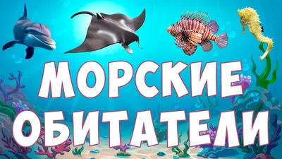 Прописи. Морские обитатели. По строчке до точки: для детей 7 лет - купить  книги по обучению и развитию детей в интернет-магазинах, цены на Мегамаркет  | 6650в