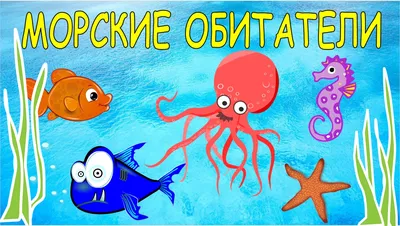 Фигурки животных для детей набор "Морские обитатели", 13 фигурок - купить с  доставкой по выгодным ценам в интернет-магазине OZON (585016258)