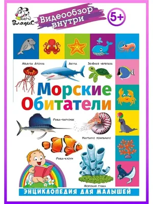 Морские обитатели 🐬 Подводный мир 🐠 Развивающие мультики 🐟 Для самых  маленьких - YouTube