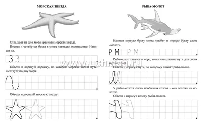 Прописи. Морские обитатели. По строчке до точки: для детей 7 лет купить по  цене 40 ₽ в интернет-магазине KazanExpress