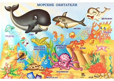 карточки морские обитатели