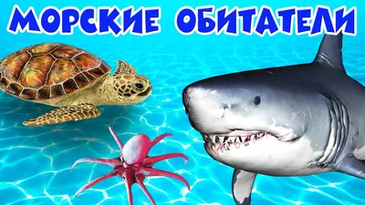 Обитатели морей и океанов 🐠 Развивающие мультики 🐟 Морские животные 🐬  Подводный мир - YouTube