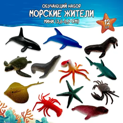 Игровой набор миниатюрных фигурок "Морские жители" для малышей, 12 штук морских  жителей, животные коллекционные, развивающие игрушки для детей, обучающий  набор для мальчика и для девочки - купить с доставкой по выгодным ценам