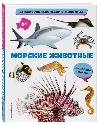 Развивающий набор фигурки Морские животные (16 фигурок) от Obetty  (ID#1646916373), цена: 374 ₴, купить на 