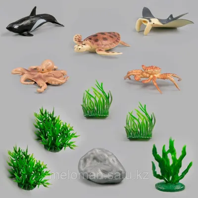 Учим английский. Морские обитатели. Marine creatures. Учим название морских  обитателей на английском - YouTube